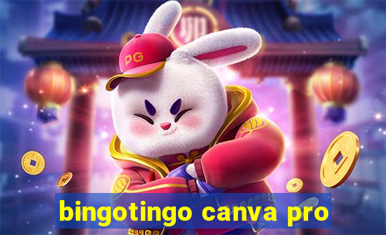 bingotingo canva pro